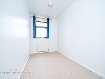 Picture 13